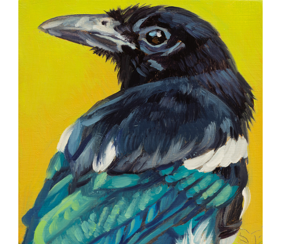 Sheila Evans "Black-billed Magpie"